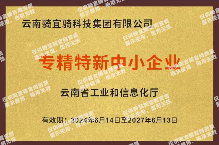 专精特新中小企业